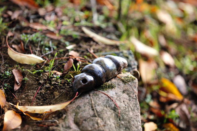 Figurka owada z gliny szkliwionej w naturalnym leśnym otoczeniu