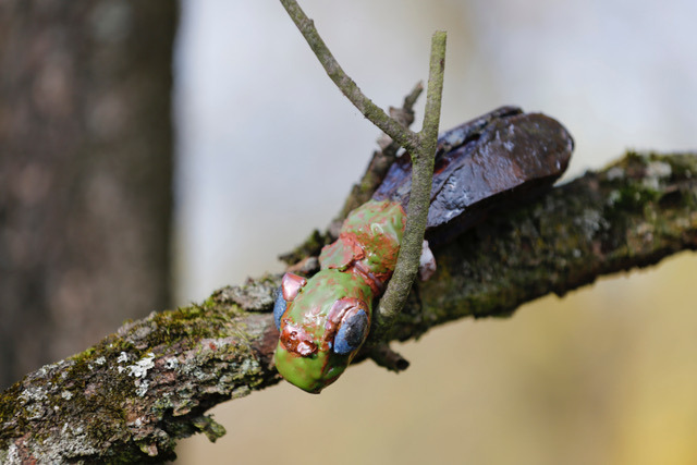 Figurka owada z gliny szkliwionej w naturalnym leśnym otoczeniu