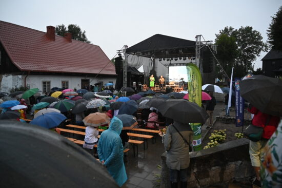 Publiczność pod parasolami na widowni